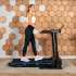 Беговая дорожка Oxygen Fitness MANGAN A Беговая дорожка Oxygen Fitness MANGAN A