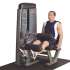 Сгибание-разгибание ног Body-Solid DLEC-SF