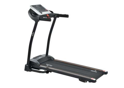 Беговая дорожка ROYAL Fitness RF-7