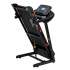 Беговая дорожка ROYAL Fitness RF-6 Беговая дорожка ROYAL Fitness RF-6