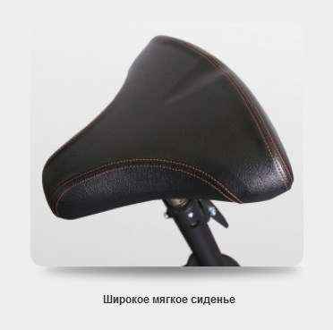 Скамья Скотта BRONZE GYM BR-1007