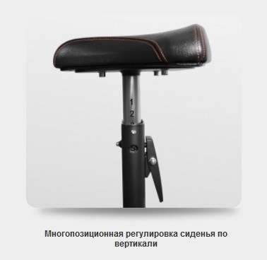 Скамья Скотта BRONZE GYM BR-1007