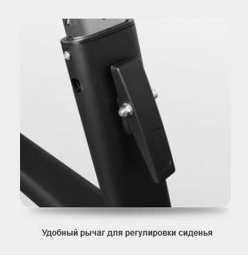 Скамья Скотта BRONZE GYM BR-1007