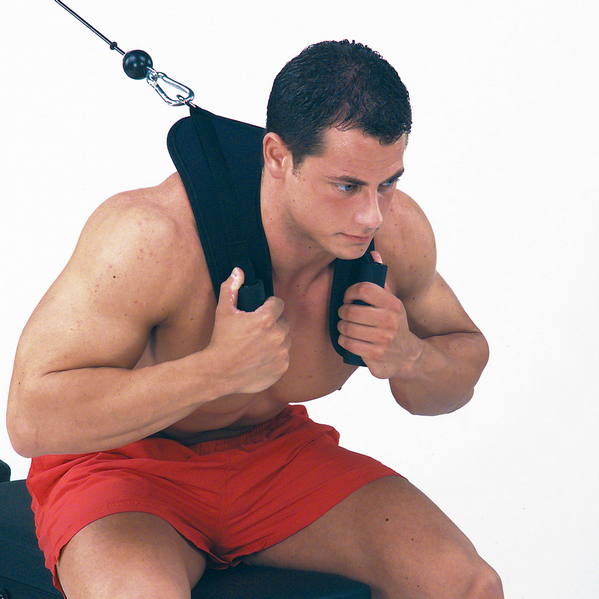 Тяга для скручиваний (пресс) Body-Solid ACH18 Тяга для скручиваний (пресс) Body-Solid ACH18