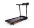 Беговая дорожка DFC X-FIT T-2SLIM Беговая дорожка DFC X-FIT T-2SLIM