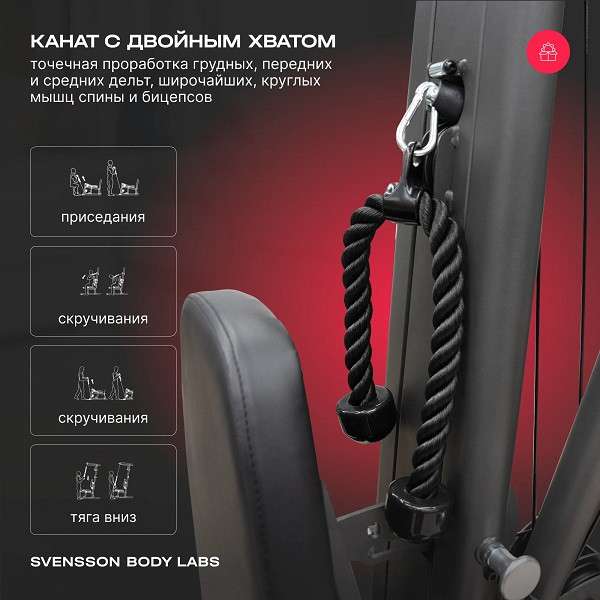 Силовой комплекс Svensson Body Labs RIGEL PLUS PRO