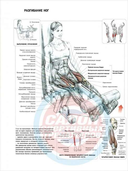 Силовой комплекс ProTrain HG 113 Силовой комплекс ProTrain HG 113
