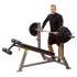 Скамья для отрицательного жима Body-Solid PRO CLUB LINE SDB351G Скамья для отрицательного жима Body-Solid PRO CLUB LINE SDB351G