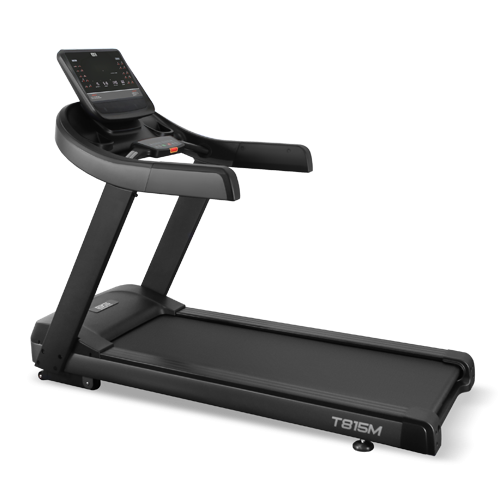 Беговая дорожка BRONZE GYM T815M Беговая дорожка BRONZE GYM T815M
