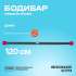 BRONZE GYM БОДИБАР 4 кг BRONZE GYM БОДИБАР 4 кг